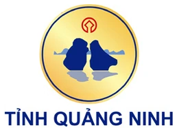 Tỉnh Quảng Ninh